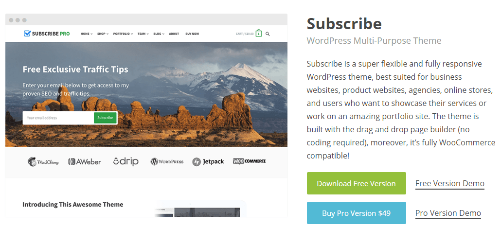 Subscribe Pro WordPress theme