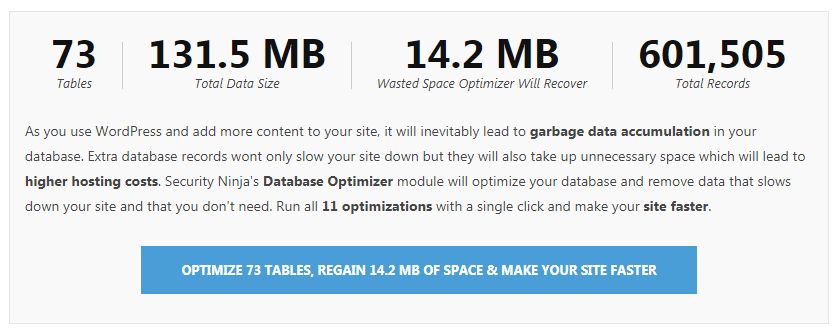 Database Optimizer