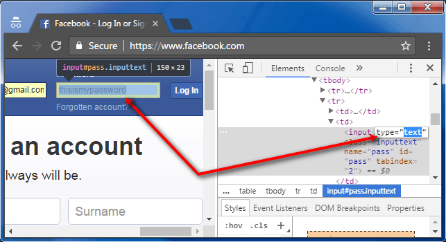 input text